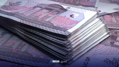 بهترین سرمایه گذاری با ۱۰۰ میلیون